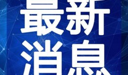 嘴哥最新爆料结婚视频,甜蜜瞬间见证爱情升华
