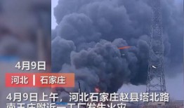 椒江最新爆料事件视频播放,视频揭露惊人真相！